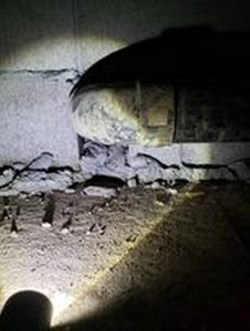 mouse access point in crawlspace around plumbing