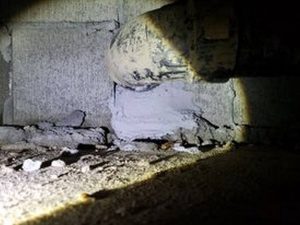 sealed area to exclude rodents from building