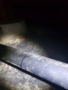 Rodent evidence in crawlspace in fairhaven Washington
found during pest control service inspection