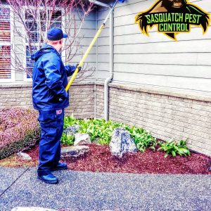 Kris of Sasquatch Pest control doing preventative pest services