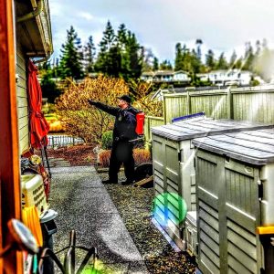 Preventative spider spray in Blaine Washington