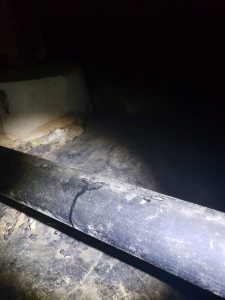 Rodent urine and foot prints found on plumbing during rodent inspection