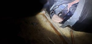 Rodent damage to HVAC in crawlspace in Lynden Washington