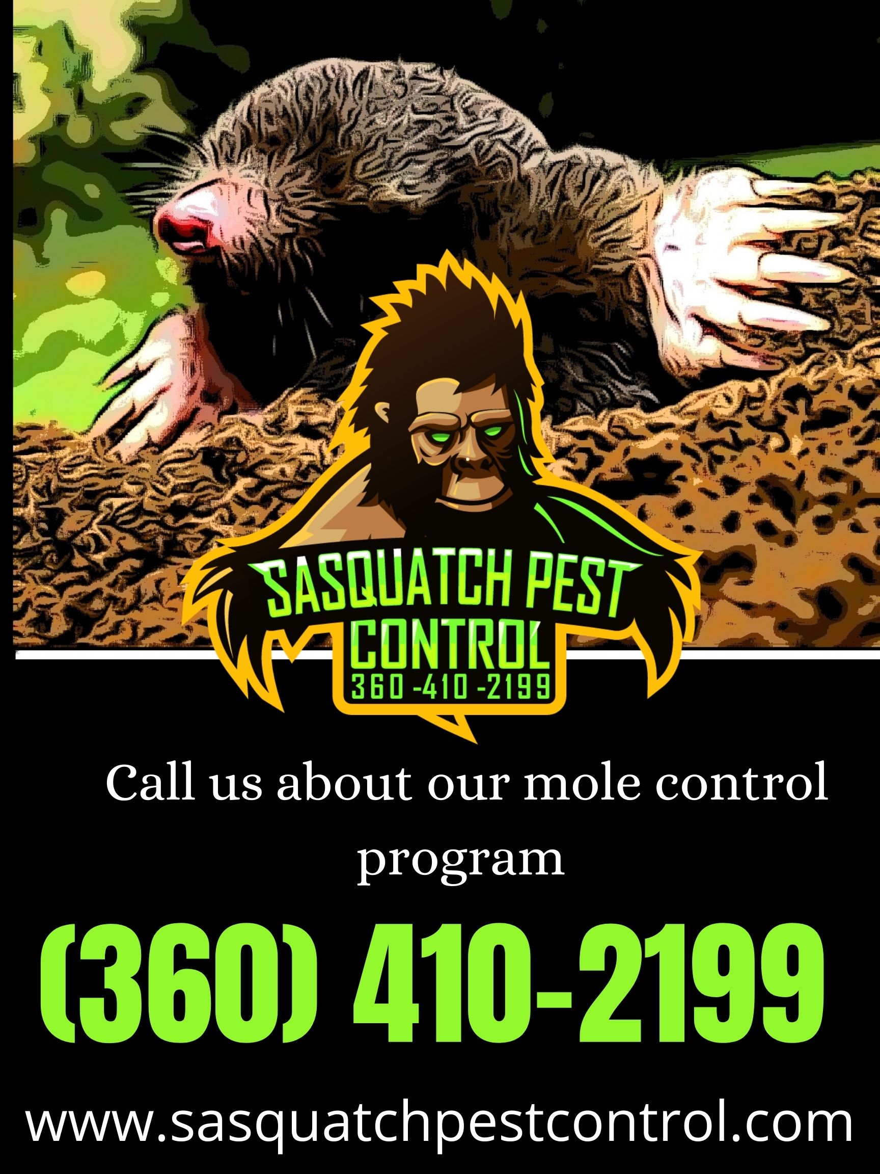 Mole exterminator banner