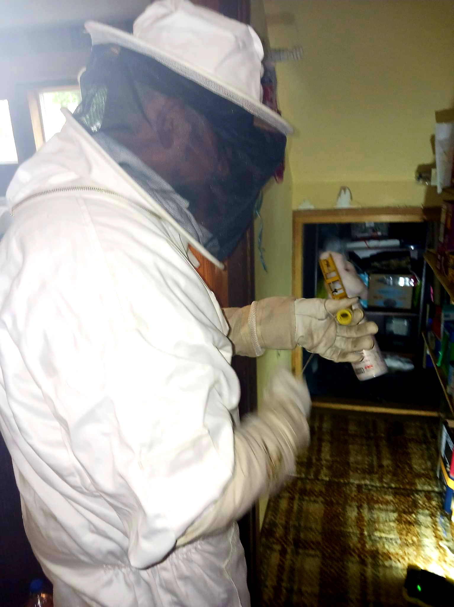 bee exterminator in house