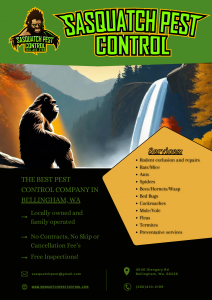 Sasquatch Flyer 2024