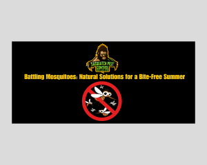 Battling Mosquitoes: Natural Solutions for a Bite-Free Summer