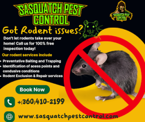 Rodent service Flyer