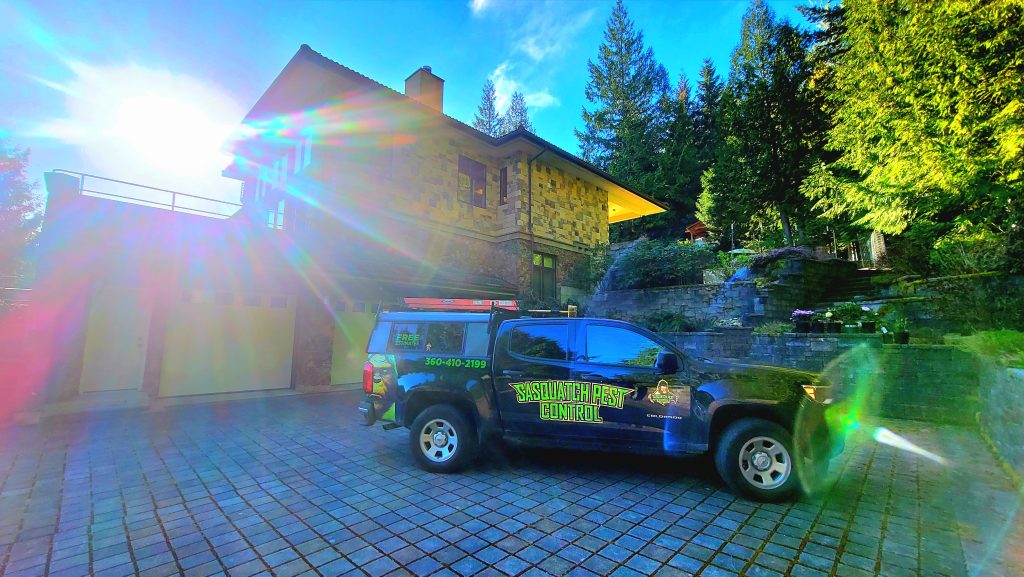 Sasquatch truck in Sudden Valley