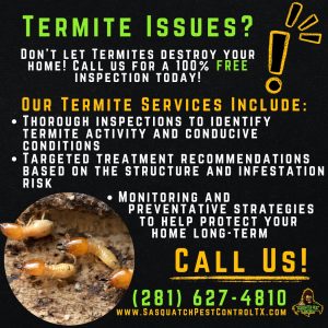 Termite control services from Sasquatch Pest Control in Spring and Houston, TX