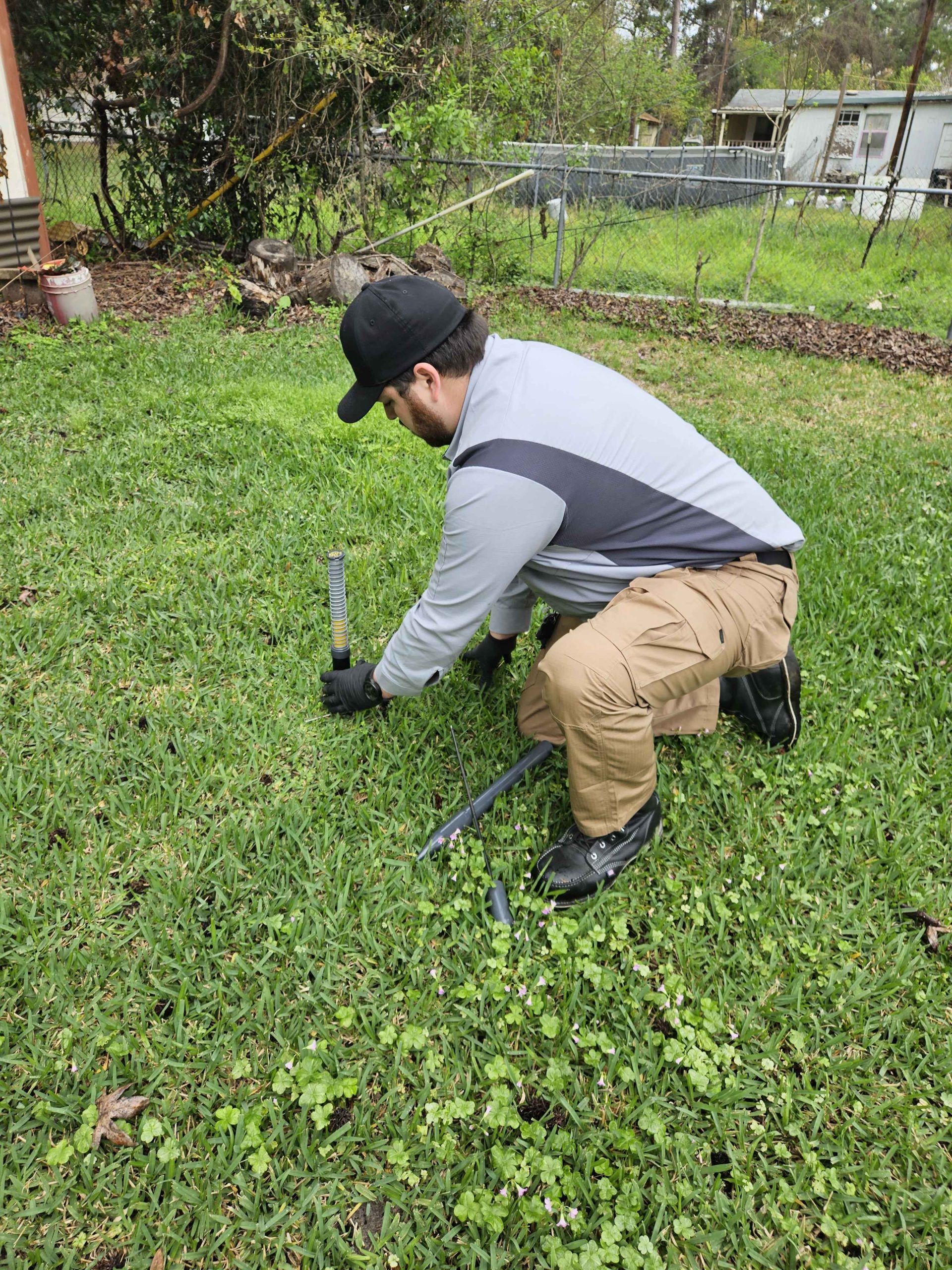 Carpenter bee treatment in Spring, TX
