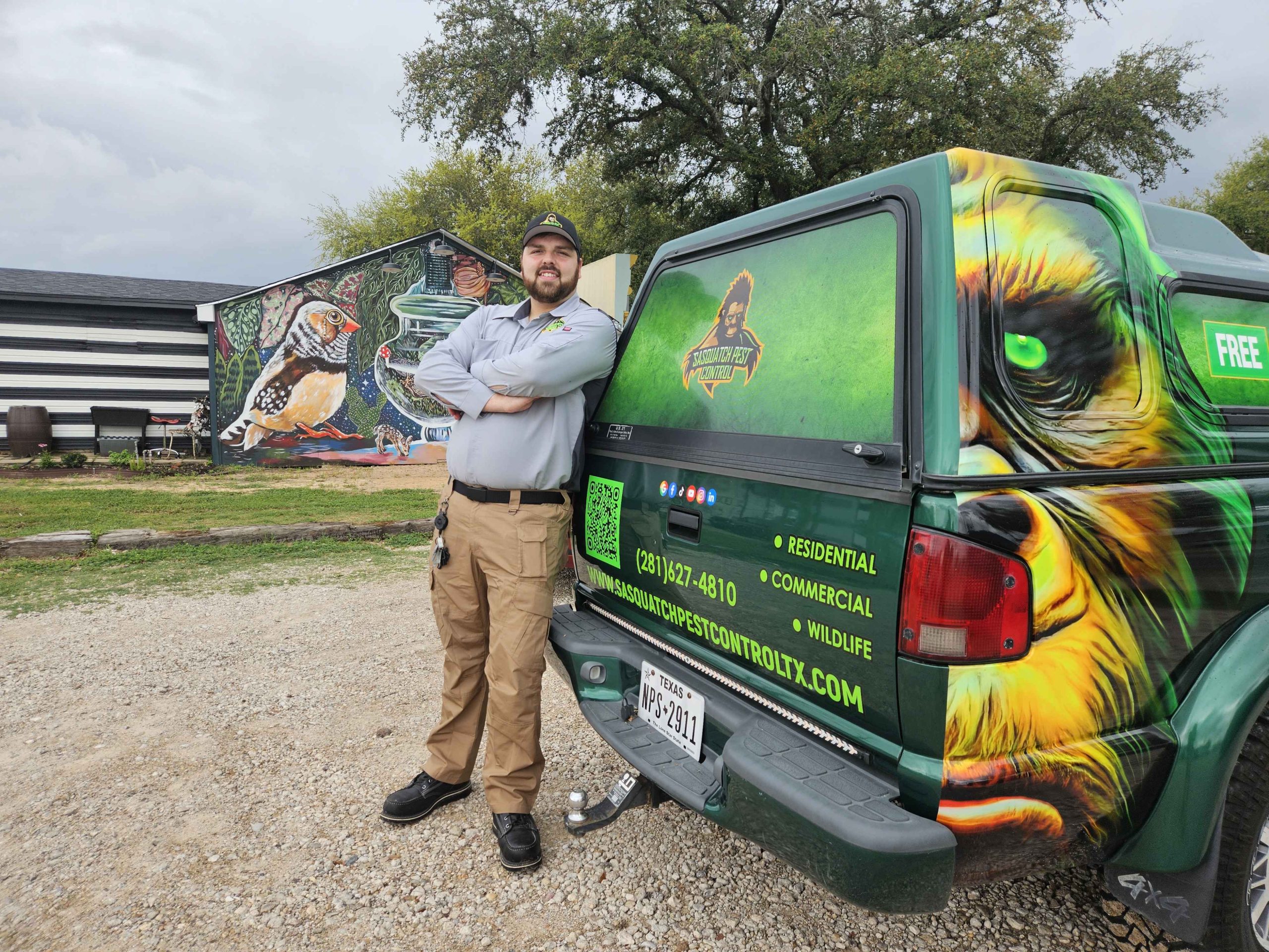 Carpenter ant inspection in Houston, TX