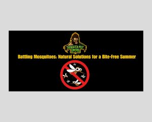 Mosquito pest control service by Sasquatch Pest Control in the Greater Houston area